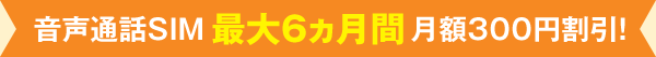 音声通話SIM 最大6ヵ月間月額300円割引!